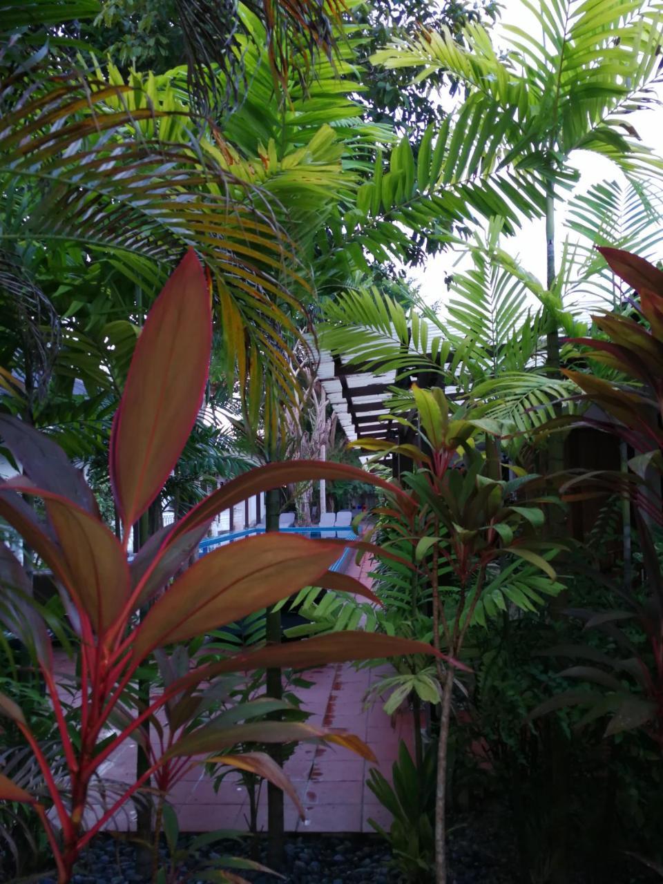 Tropical Resort Langkawi Extérieur photo
